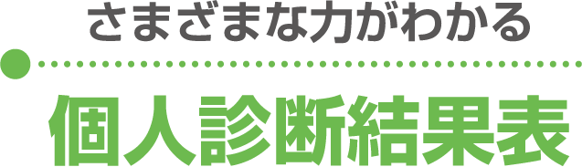 さまざまな力がわかる 個人診断結果表